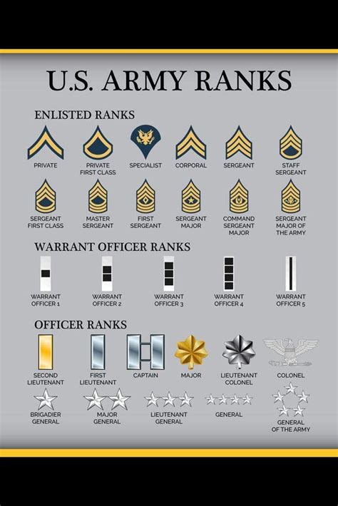 Laminated United States Army Rank Chart Reference Enlisted