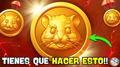 Increible Hamster Kombat Nos Revela Informacion Secreta Sorteo Ton