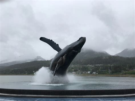 The Whale Project Juneau Alaska Hdg Building Materials