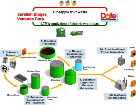 Biogas Power Generation And Fuel Conversion Project In Pineapple