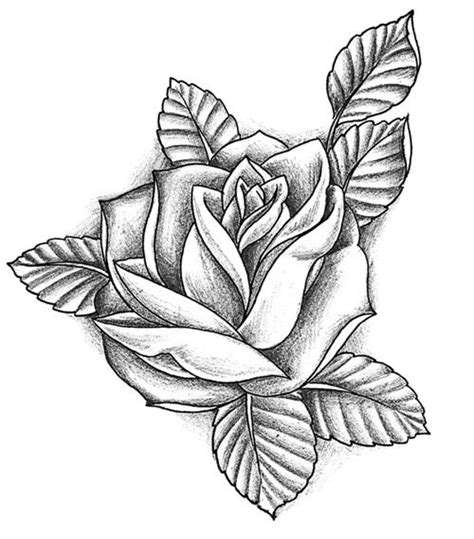 The Best 11 Realistic Rose Outline Stencil Rose Tattoo Drawing
