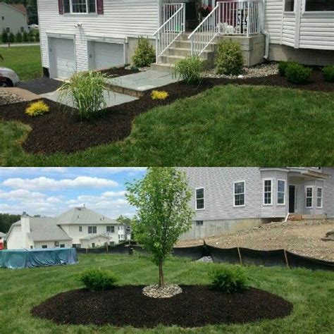 Sprucing Up The Front Lawn Lawn Care Spruce