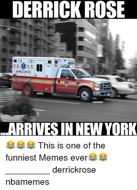 Ambulance Ride Funny Meme Dog Bread