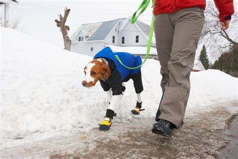 They're inexpensive to make — yet your dog will still look totally adorable wearing them. DIY Dog Traction Boots - Pets