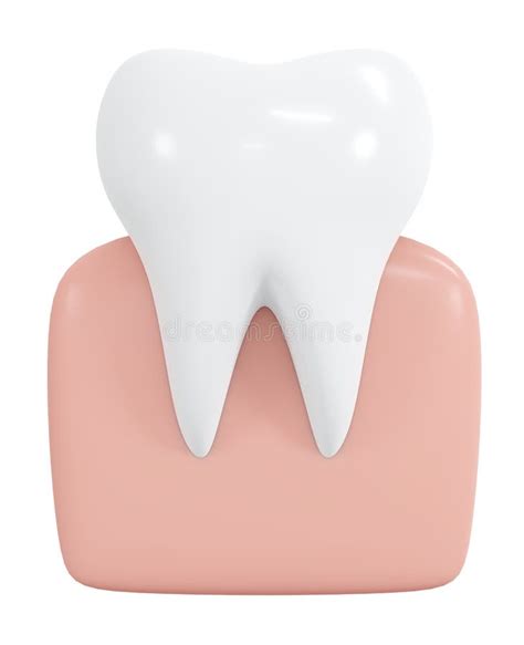 3d Rendering Healthy Tooth With Gum Icon Cartoon Style Isolated On