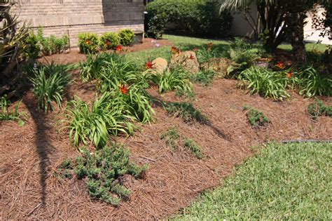 Maybe you would like to learn more about one of these? Cameron Newpher - Fine Florida Pine Straw | Facebook