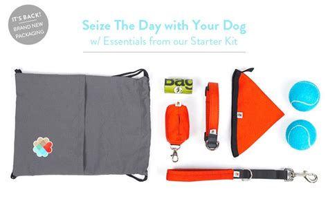Wildebeest — Wildebeest Pet Ts Dog Essentials Starter Kit