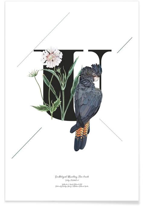 Botanical Alphabet U Poster Juniqe