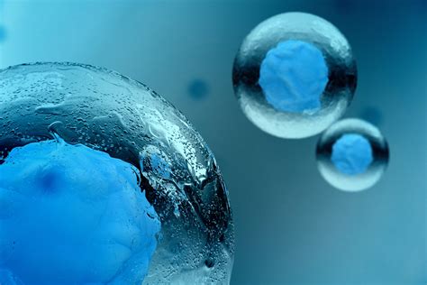 In Embryonic Stem Cells Genes Link Pluripotency And Ease Of Self