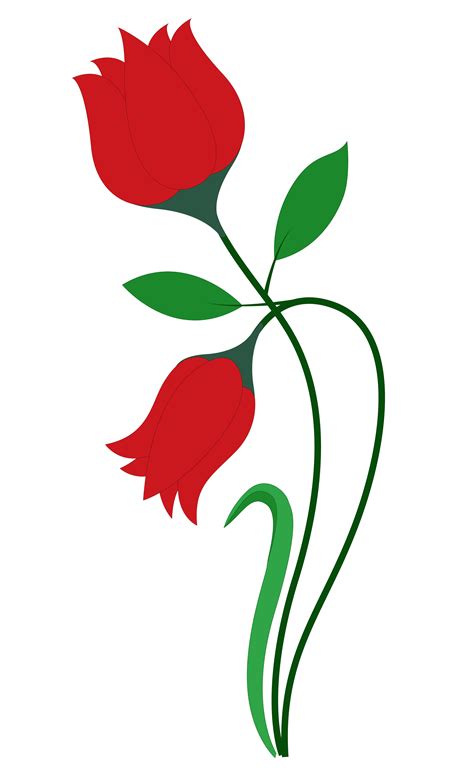 Red Rose Flower Vector Image Png Transparent Background 3400x5598px