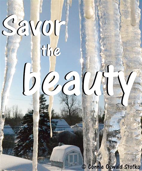 Thought For The Day Savor The Beauty Buffalo Niagaragardening Com