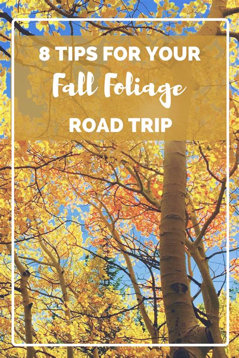 Travel Tips For Your Fall Foliage Road Trip Fall Foliage Road Trips