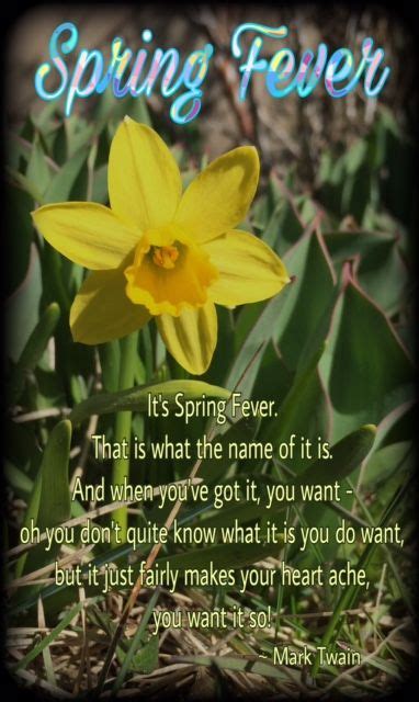 First Day Of Spring This Spring Quote From Mark Twain Is My Absolute