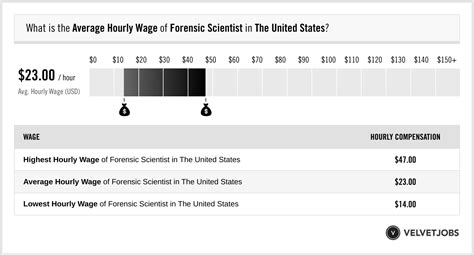 Forensic Scientist Salary Actual 2023 Projected 2024 Velvetjobs