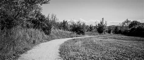 Employee Benefit Plans | Thoughtful Advisors