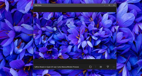 Set Daily Bing Wallpaper As Your Windows Desktop Background — Tech Support