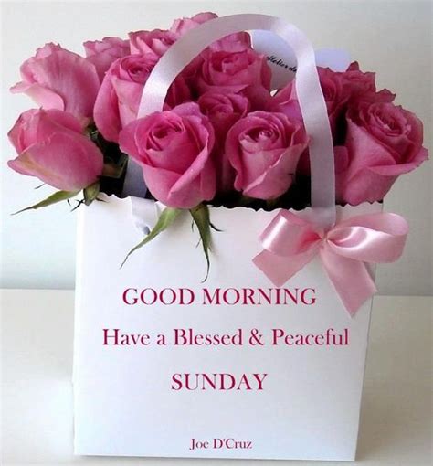 Good Morning Have A Blessed And Peaceful Sunday Pictures Photos And