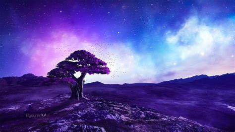 Purple Tree Wallpapers Top Free Purple Tree Backgrounds Wallpaperaccess