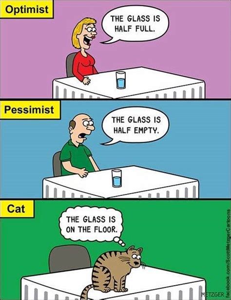 Optimists Vs Pessimists Cat Jokes Cat Comics Funny Cats