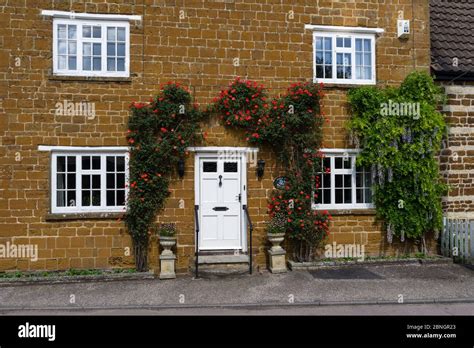 Roses Front Door Hi Res Stock Photography And Images Alamy