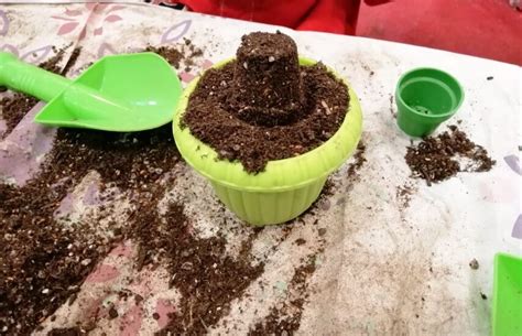Container Gardening For Kids Florist Kid