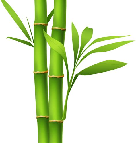 Pogchamp Bamboo Clipart Transparent Png Original Size Png Image