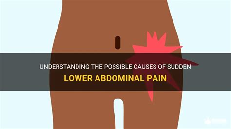 Understanding The Possible Causes Of Sudden Lower Abdominal Pain MedShun