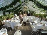 Pictures of Botanical Gardens Buffalo Wedding