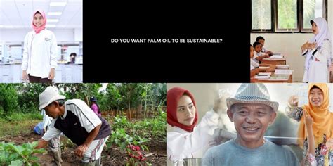 Its business activities include cultivating and harvesting oil palm trees, processing fresh fruit bunches (ffb) into crude palm oil (cpo) and. Beasiswa - PT Sinar Mas Agro Resources and Technology Tbk ...