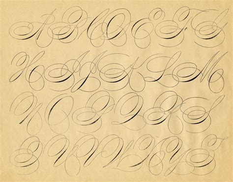 Antique Clip Art Pen Flourished Alphabet Swirly The