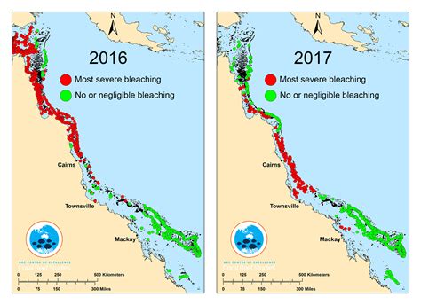 Great Barrier Reef Hit By Bleaching For The Second Year In A Row Ncpr News