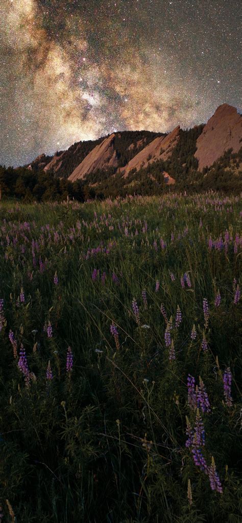 Green Grass Field Near Mountain Under Starry Night Iphone Wallpapers