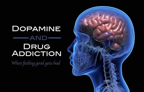 Dopamine And Drug Addiction Ventura Recovery Center