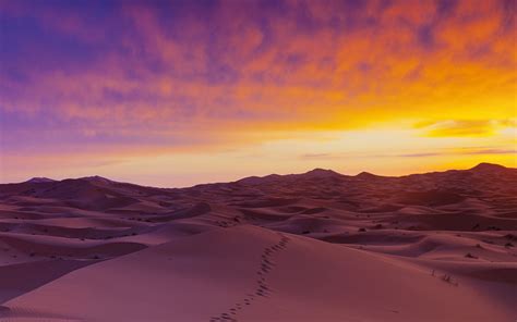 Sahara Desert Sand Dunes Hd Nature 4k Wallpapers Images Backgrounds