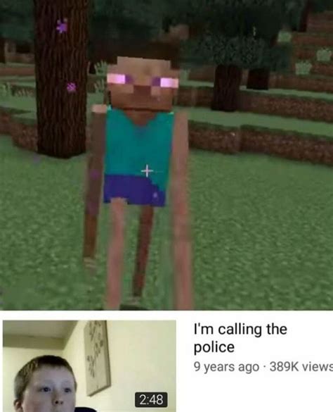 Skins De Minecraft Memes