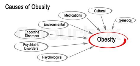 Causes Of Obesity Stock Image Colourbox