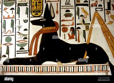 alten Ägyptischen gott anubis diese darstellung der altägyptischen gottheit ist in das grab der