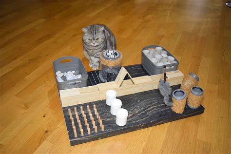 fummelbrett für katzen kitten katzenspielzeug selber bauen intelligenzspielzeug für katzen