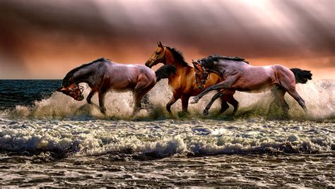 The Horses Running In Water 5000x2830 Resolution Wallpaper