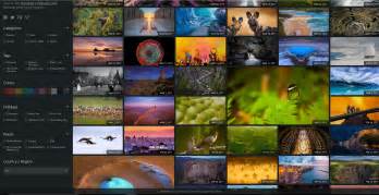 Bing Is Now Sharing Backstory Of Its Home Page Photo And Gallery Of Past Pictures Thrive
