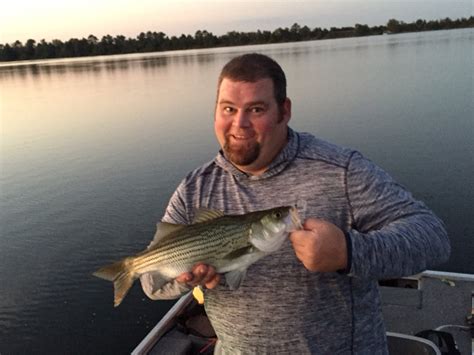 Caught A Hybrid Striped Bass On Lake Eufaula Reservoir Using A Buzz Bait