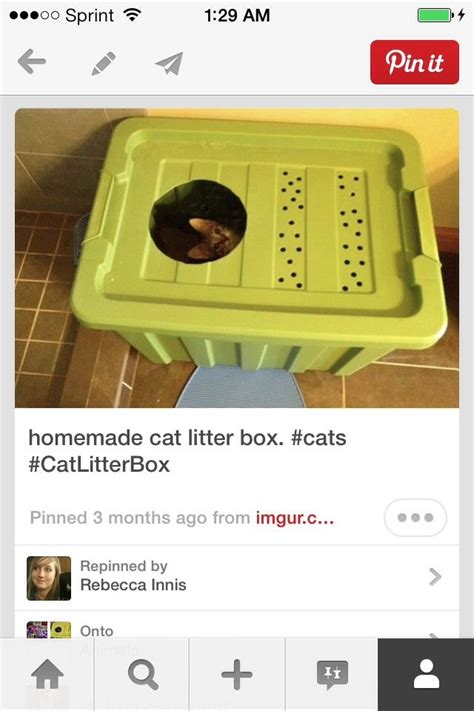 Homemade Cat Litter Box Made Out Of A Tub Fun And Keep The Area Clean Homemade Cat