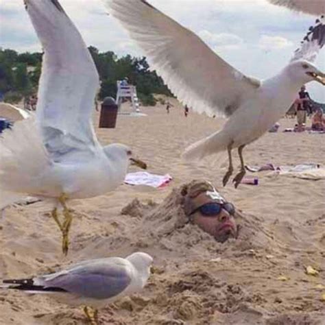 30 Hilarious Beach Photos Gone Wrong