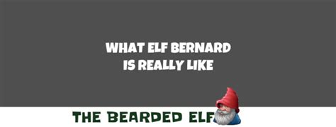 The Truth About Elf Bernard