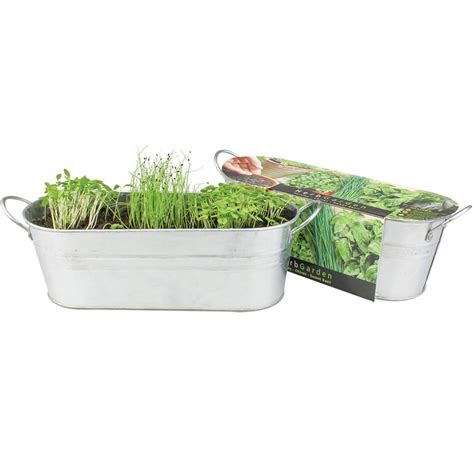 Check out our windowsill herb garden selection for the very best in unique or custom, handmade pieces from our indoor planters shops. Buzzy Windowsill Herb Garden Kit | Cooking | CleverPatch ...