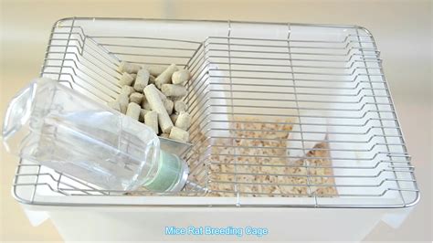 Laboratory Mouse Cages With High Quality Good Buy Laboratory Mouse