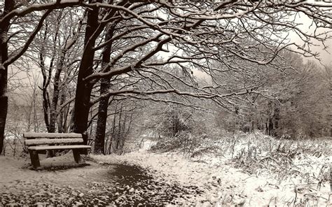 Online Crop Brown Wooden Bench Nature Landscape Snow Winter Hd
