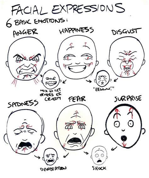 6 Basic Emotions Expressions Emotions Facial Expressions