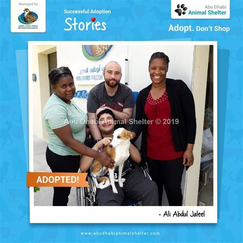 Abu Dhabi Animal Shelter Animal Shelter Adoption Stories Animals