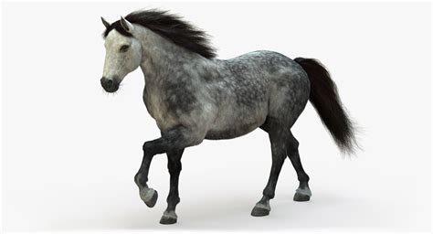 Lots of fun to play when bored at home or at school. 3D model horse animation fur - TurboSquid 1221084